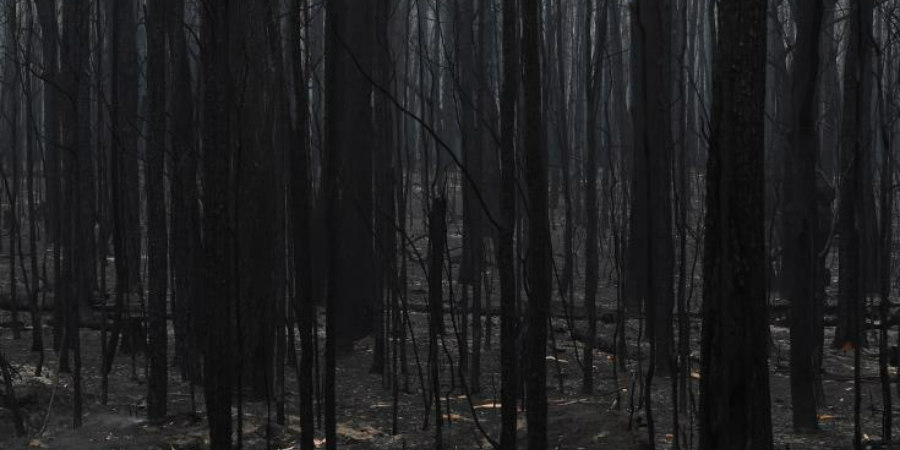 Πυρκαγιές στην Αυστραλία: 24 νεκροί πολύ μεγάλες υλικές ζημιές